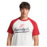 SUPERDRY Vintage Achilles Raglan T-shirt