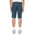 DICKIES Slim Fit Shorts