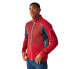 REGATTA Yare VIII softshell jacket