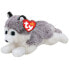 TY Beanie Babies klein Ostsee der Husky