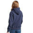 SUPERDRY Tonal Vintage Logo Graphic hoodie