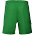 Zina Iluvio Senior match shorts M Z01929_20220201120132 green