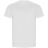 KRUSKIS Old Biker ECO short sleeve T-shirt