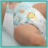 Windeln Active Baby 6 (13-18 kg) 56 St.