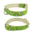 YOUPET Mountain Co2F 50x2.5 cm Dog Collar