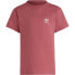 ADIDAS ORIGINALS Adicolor short sleeve T-shirt