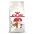 ROYAL CANIN Fit 32 Adult 10kg Cat Food