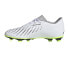 Adidas Predator Accuracy.4 Fxg