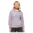 SUPERDRY Metallic Vl Graphic Unbrushed hoodie