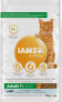 IAMS IAMS Vitality adult cat ocean fish - sucha karma dla kota - 10 kg