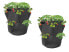 Pflanzsack Erdbeeren 2er Set