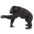 SAFARI LTD Chimpanzee Figure