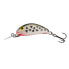 SALMO Hornet Floating crankbait 7g 50 mm