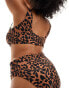 ASOS DESIGN Curve Adrienne high leg high waist bikini bottom in oversized animal