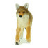 SAFARI LTD Coyote Figure