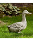 Quackers Garden Statue