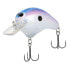 Shimano Pro Blue MACBETH ORIGINAL Crankbait (MB63PB) Fishing