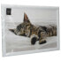 CREATIVE TOPS Sleeping Kitten Tray