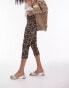 Topshop leopard print ponte capri in brown