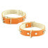 YOUPET Mountain Co1F 40x2.5 cm Dog Collar