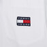 Tommy Hilfiger DW0DW15199 Ybr