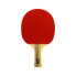 SOFTEE P 300 Table Tennis Racket