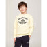 TOMMY HILFIGER KB0KB09048 sweatshirt