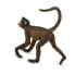 SAFARI LTD Spider Monkey Figure