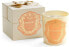 Santa Maria Novella Meriggio Scented Candle