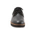 Softwalk Willis S1811-006 Womens Black Narrow Leather Oxford Flats Shoes 6