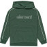 ELEMENT Cornell 90S hoodie