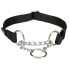 TRIXIE New Premium Education Collar