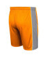 Men's Tennessee Orange Tennessee Volunteers Panel Shorts