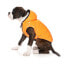 FUZZYARD Aeon Dog Sweatshirt Hoodie