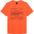 HACKETT Camo Graphic short sleeve T-shirt