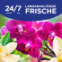 Weichspüler Vanille & Orchidee 59WL, 1,3 l