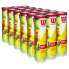 WILSON Championship Extra Duty Tennis Ball