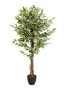 Kunstpflanze FICUS