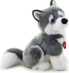 Trudi Pluszak pies husky Marcus, 34 cm (22272)