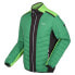 REGATTA Halton VII jacket