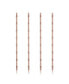 Bamboo Straws, Set of 4