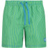 CMP Swimming 3R50854 swimming shorts