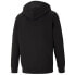 Puma Essentials Big Logo Fullzip Hoodie