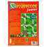 DEVIR Carcassonne Junior Board Game