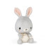 KALOO Teddy Rabbit