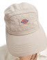 Dickies fincastle cap in sand