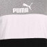 PUMA Essential+Colorblock short sleeve T-shirt