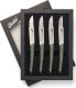 Berkel Berkel steak knife set 4-pcs. Color green