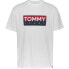 TOMMY JEANS Reg Rwb Entry short sleeve T-shirt