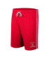 Men's Scarlet Ohio State Buckeyes Thunder Slub Shorts